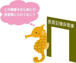海馬